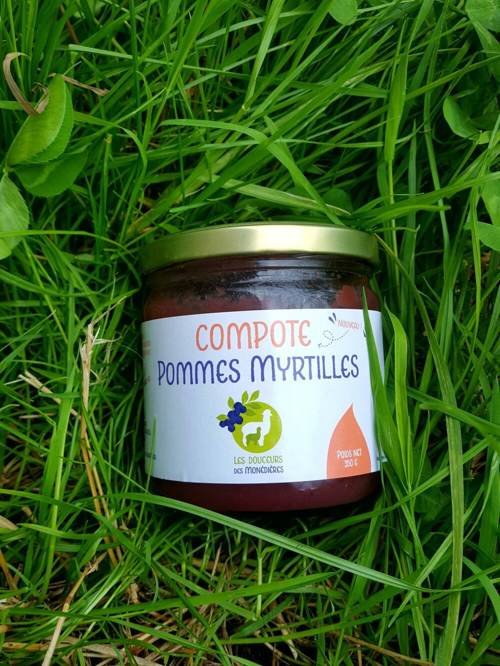 Compote pommes myrtilles